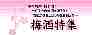 �O�g�̍����̎}���́A�l�C����u��������ځv�́u�r�[���Ǝ}���v�ŗL����