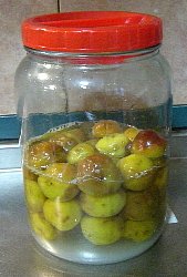�~�W���[�X,����,�����,�~�V���b�v,�E���W���[�X,�E���V���b�v
