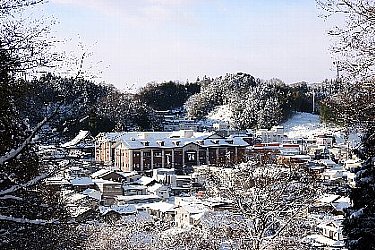 �厵,��������,��,���{��,��������{���s�|�c1-66,,�厵��,���֖�,�F�`,������,���Ď�,���Đ����g,CLASSIC,�n��,����,�f�[�^�x�[�X,�T�[�`�G���W��,�ʔ�,,��,����,����,�O�����ʔ�,�V���b�s���O,�f�[�^�x�[�X,�T�[�`�G���W��