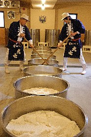 大七,大七酒造,だいしち,日本酒,通販