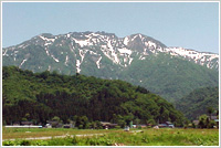 八海山しぼりたて生原酒,八海山しぼりたて,酒,八海山,,越後で候,日本酒,しぼりたて原酒,sake,hakkaisan,激安,特価,八海醸造,はっかいさん,,販売,,吟醸,,新潟,,お酒,,さけ,酒,蔵元,検索,グルメ通販,