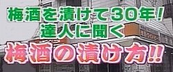 梅酒の作り方(梅酒の造り方)