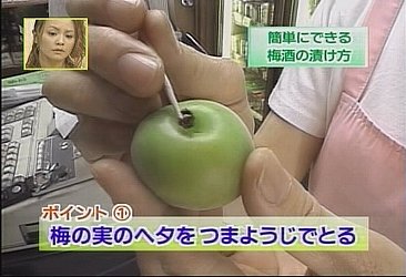 梅酒の作り方(梅酒の造り方)