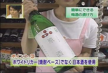 梅酒の作り方(梅酒の造り方)