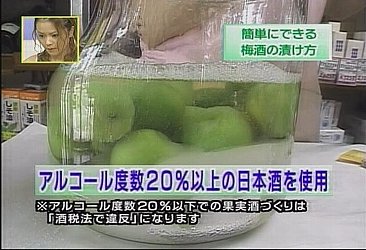 梅酒の作り方(梅酒の造り方)