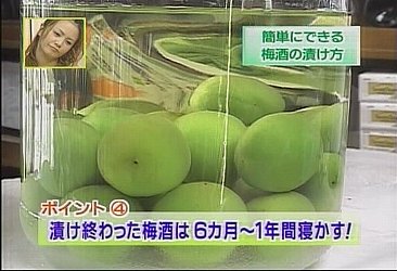 梅酒の作り方(梅酒の造り方)
