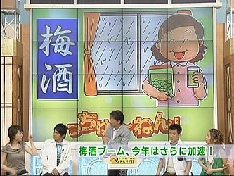 梅酒の作り方(梅酒の造り方)
