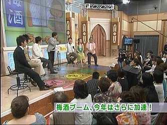 梅酒の作り方(梅酒の造り方)