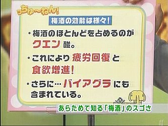 梅酒の作り方(梅酒の造り方)