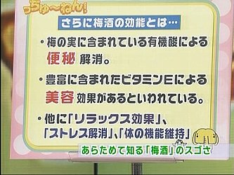 梅酒の作り方(梅酒の造り方)