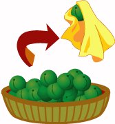 �~���̍���,�~,�~�W���[�X,����,�����,�~�V���b�v,�~�W���[�X�̍���