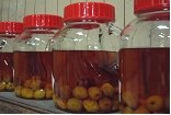 梅酒,作り方,梅酒の作り方,梅酒の造り方,梅酒の漬け方,ウメシュ,検索,グルメ通販,販売,ショッピング,データベース,サーチエンジン