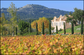 Vg[EpfB,C,tX,wine,Provence,Chateau Paradi