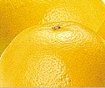 �~���̍���,���{��,�Ē�,�u�����f�[,�E�C�X�L�[,�~,�썂�~,���Y���Ē�,�ʔ�,�V���b�s���O,�~���̒Ђ���,�~���̑����,��������,�ʔ�,