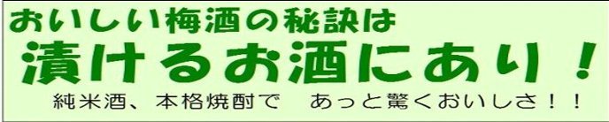 �~��,����,���V�s,���{��,�u�����f�[,�E�C�X�L�[,�Ē���~��p,�~�W���[�X�̍���
