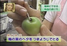 �~���̍���,�~���̒Ђ���,�~���̑����,�~��,����,���{��~��,�Ē��~��,�u�����f�[�~��,�E�C�X�L�[�~��,��������,�O�����ʔ�,�V���b�s���O,�f�[�^�x�[�X,�T�[�`�G���W��,