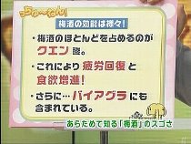 �~���̍������V�s,TV,�~���̒Ђ���,�~���̑����,�~��,����,���{��~��,�Ē��~��,�u�����f�[�~��,�E�C�X�L�[�~��,��������,�O�����ʔ�,�V���b�s���O,